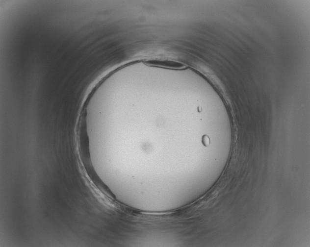 X0000071961344200608041609