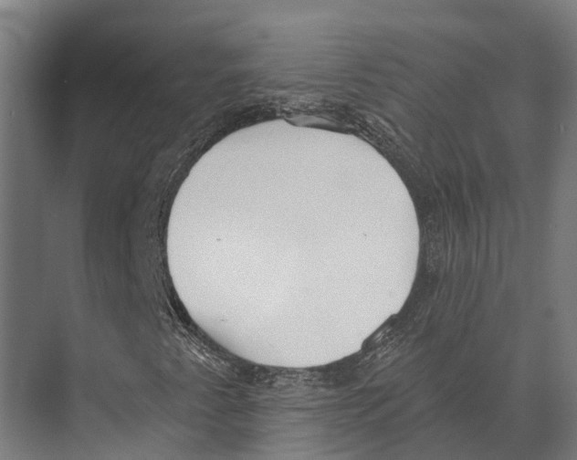 X0000071961345200608041608