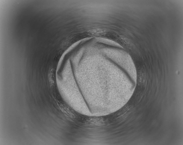 X0000071961346200608041608