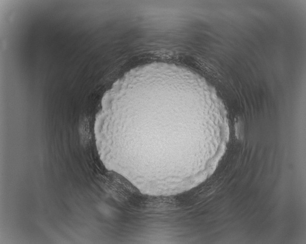 X0000071961347200608041608