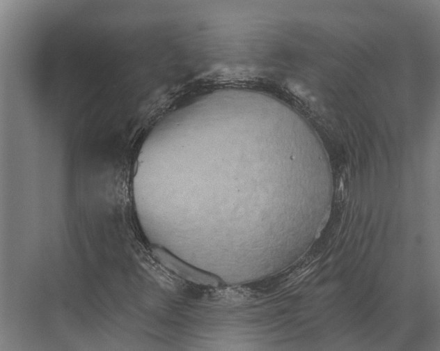 X0000071961348200608041608