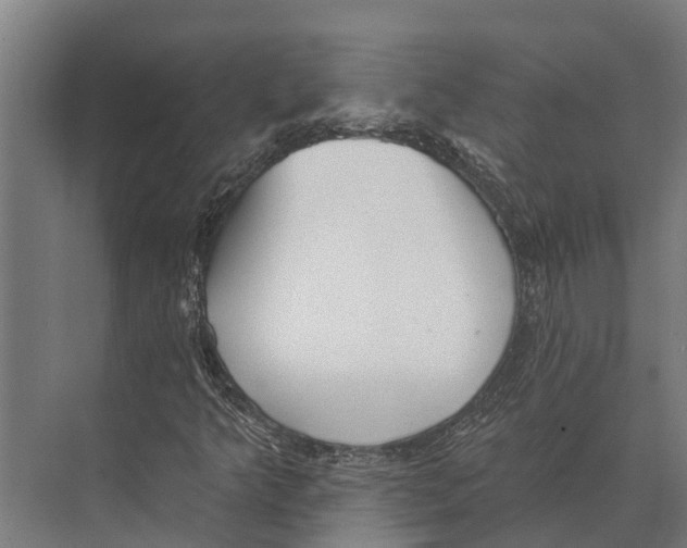 X0000071961349200608041608