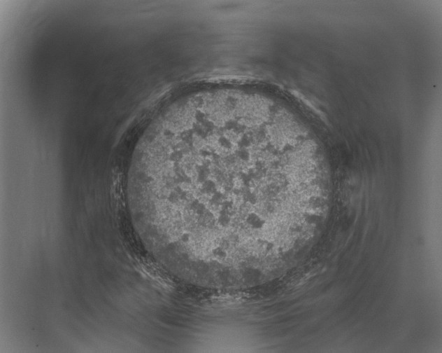 X0000071961351200608041608