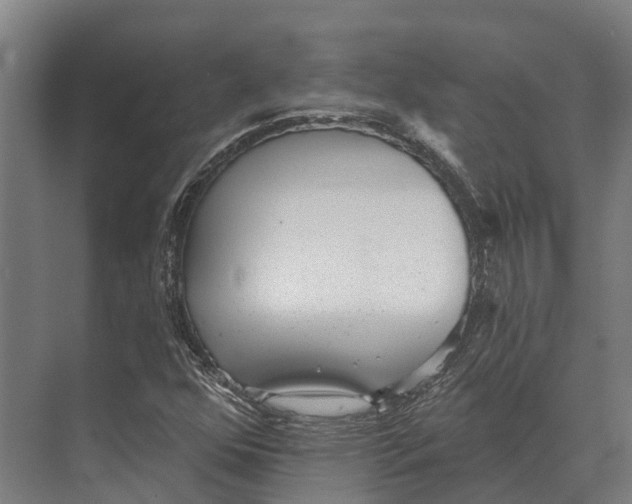 X0000071961352200608041608