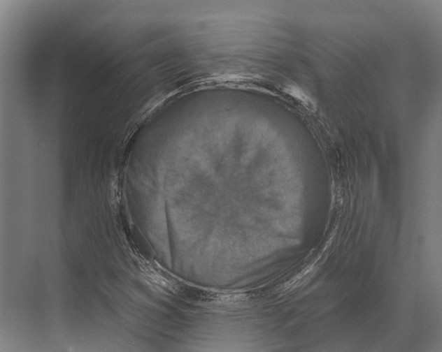 X0000071961353200608041608