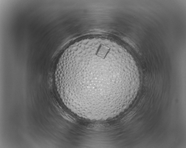 X0000071961355200608041608