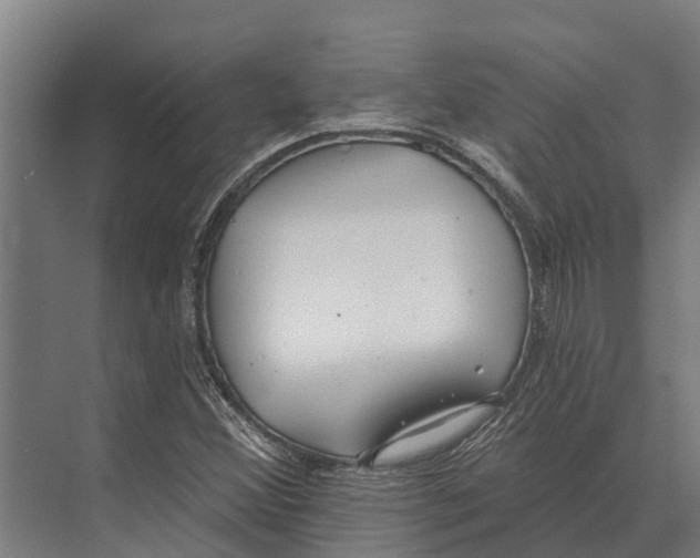 X0000071961356200608041608