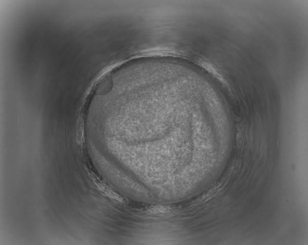 X0000071961358200608041608