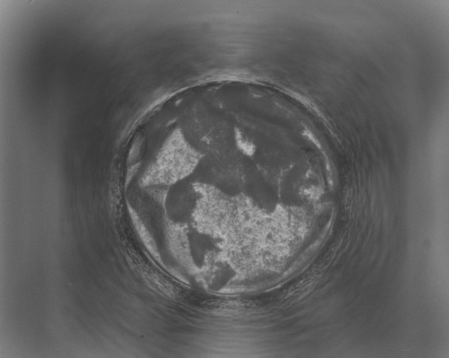 X0000071961359200608041608