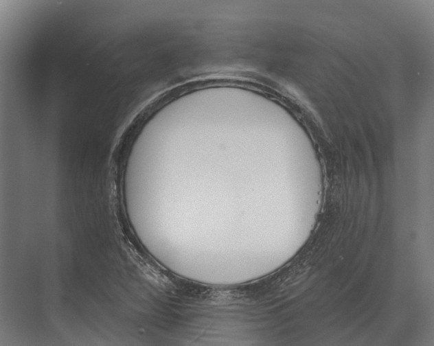 X0000071961360200608041608