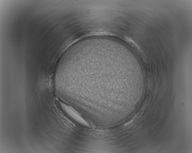 X0000071961361200608041608