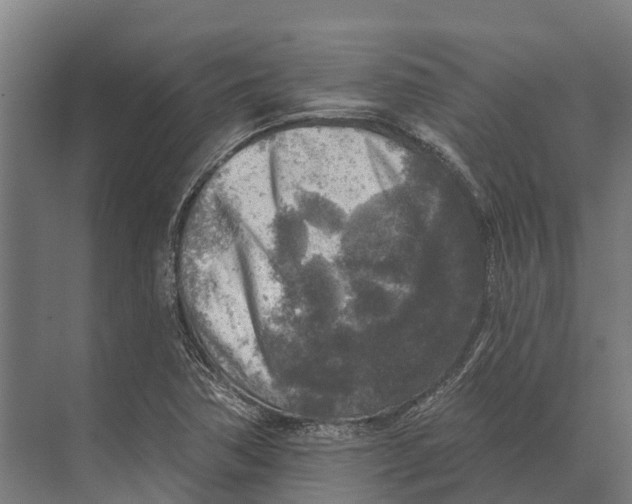 X0000071961362200608041608