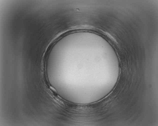 X0000071961364200608041608