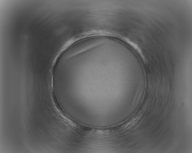 X0000071961365200608041608