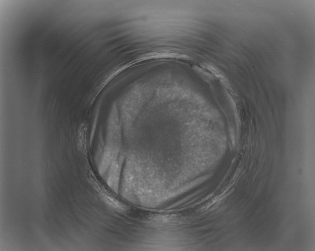 X0000071961369200608041608