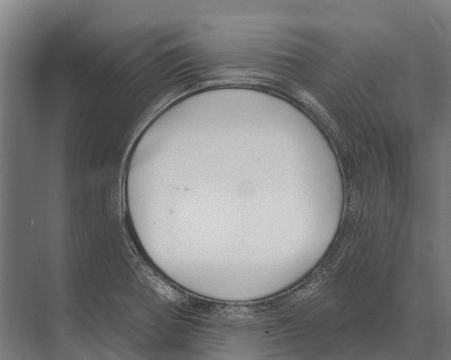 X0000071961370200608041608