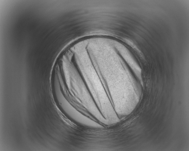 X0000071961372200608041608