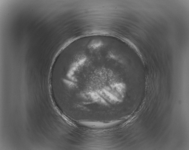 X0000071961373200608041608