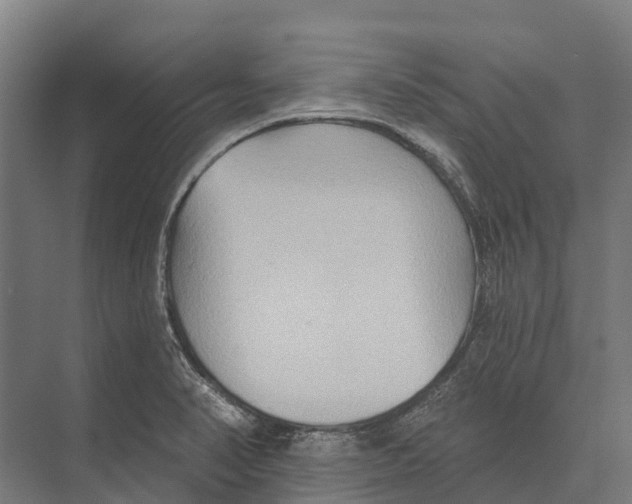 X0000071961374200608041608