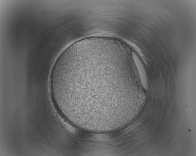 X0000071961375200608041608