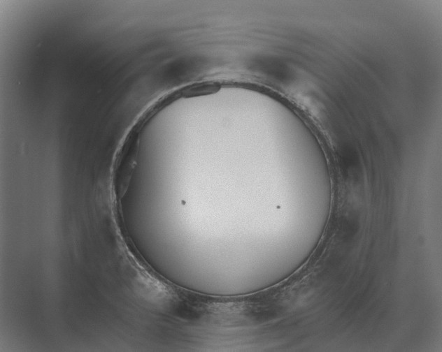 X0000071961376200608041608