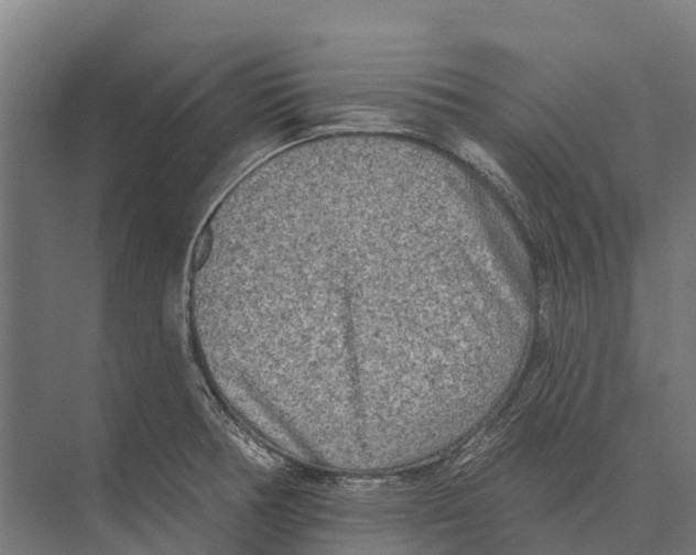 X0000071961378200608041608