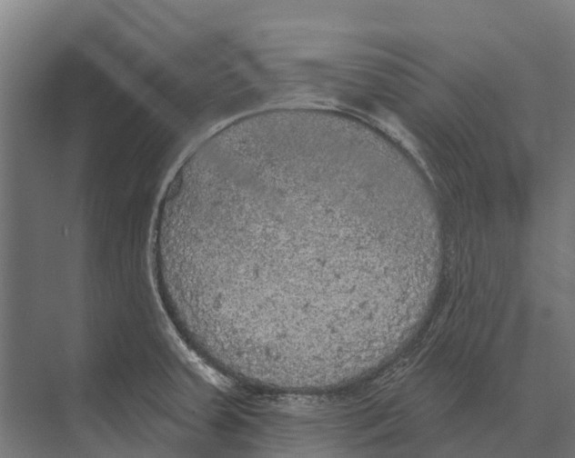 X0000071961379200608041608