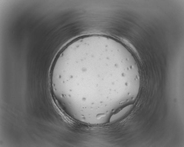 X0000071961380200608041608