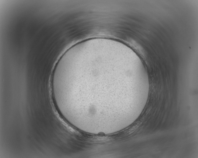 X0000071961382200608041608