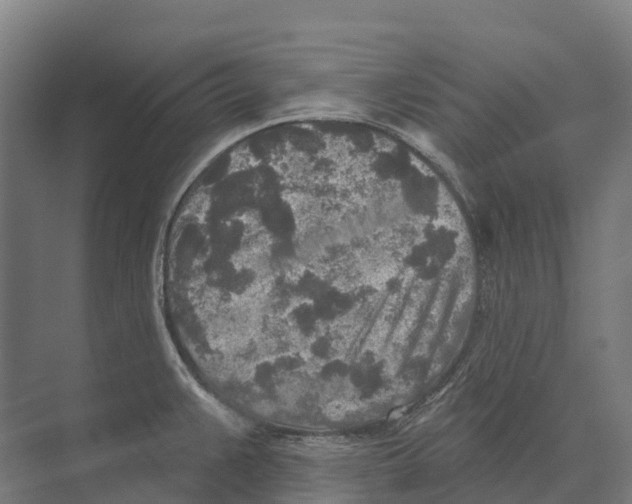 X0000071961383200608041608