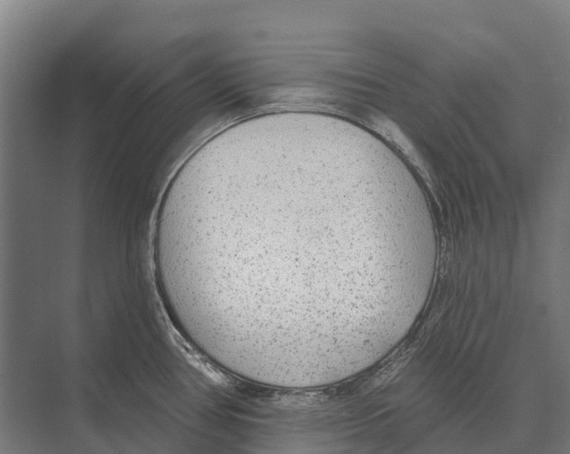 X0000071961386200608041608