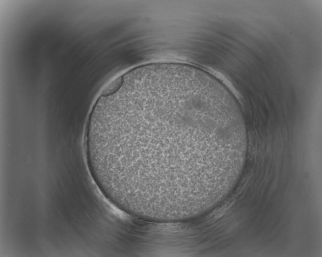 X0000071961387200608041608