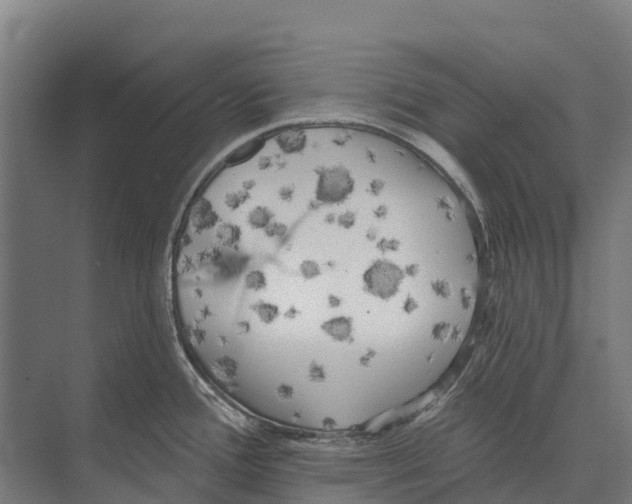 X0000071961388200608041608