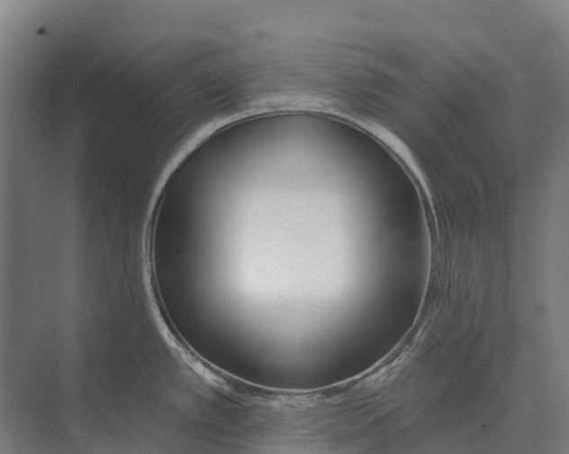 X0000071961389200608041608