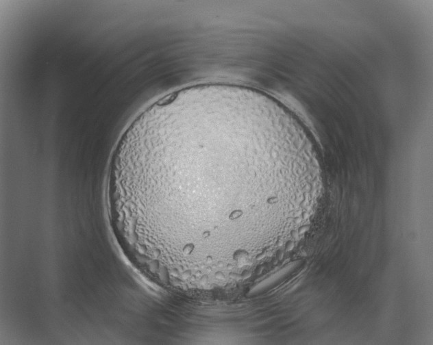 X0000071961391200608041608