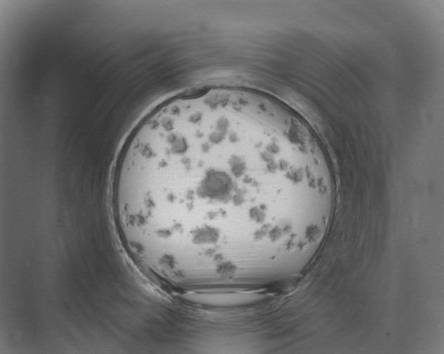 X0000071961392200608041608