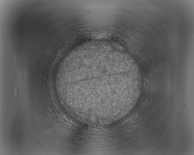 X0000071961393200608041607