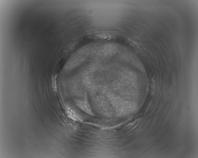 X0000071961394200608041607