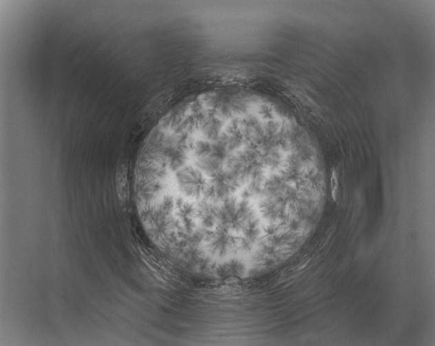 X0000071961395200608041607