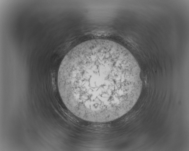 X0000071961396200608041607