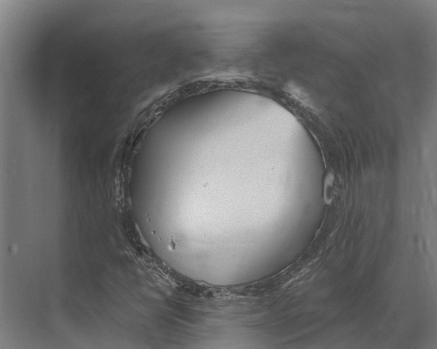 X0000071961398200608041607