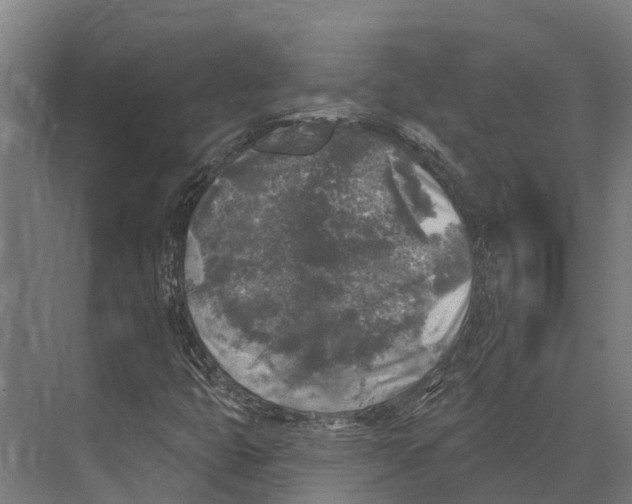 X0000071961399200608041607