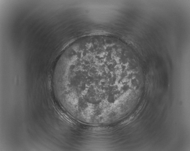 X0000071961401200608041607