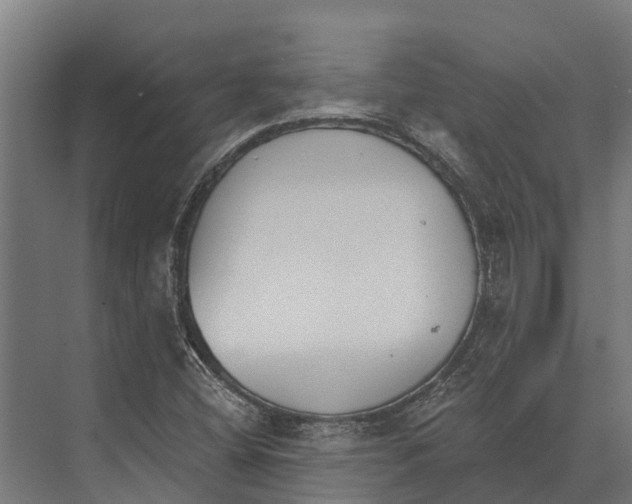 X0000071961404200608041607