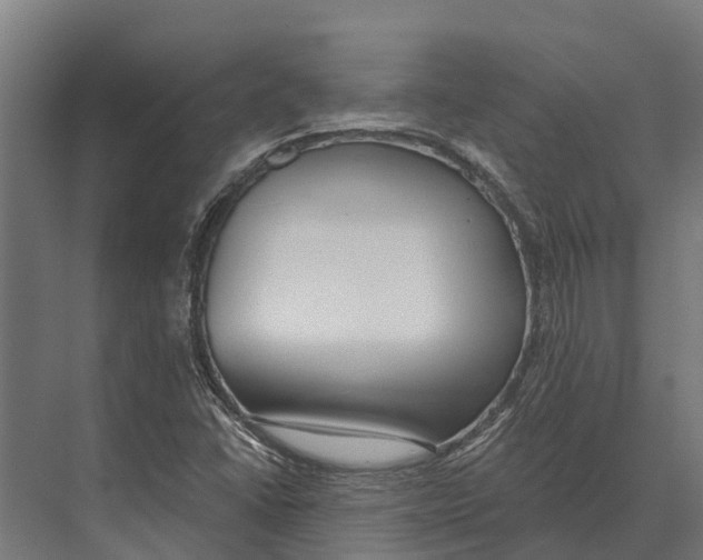 X0000071961406200608041607