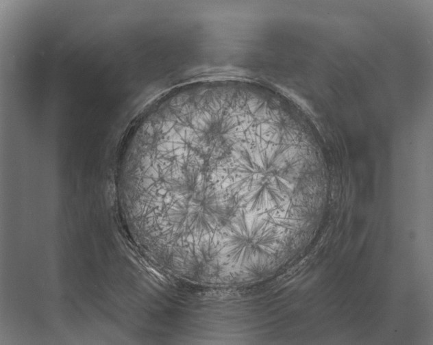 X0000071961407200608041607