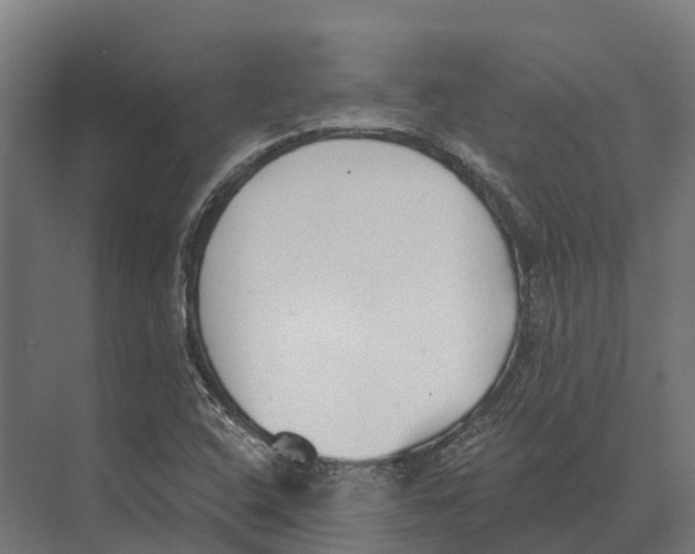 X0000071961408200608041607