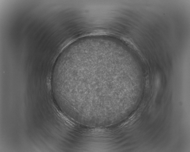 X0000071961409200608041607