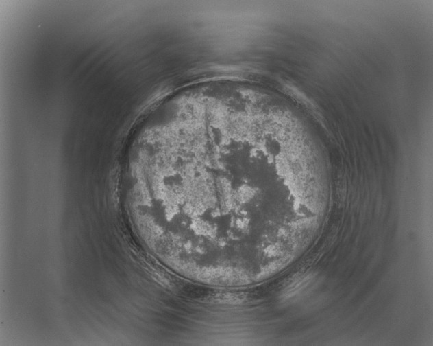 X0000071961411200608041607