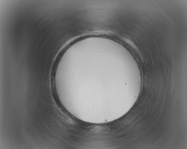 X0000071961412200608041607